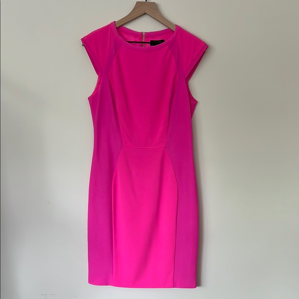 Ted Baker Pink Sleeveless Dress